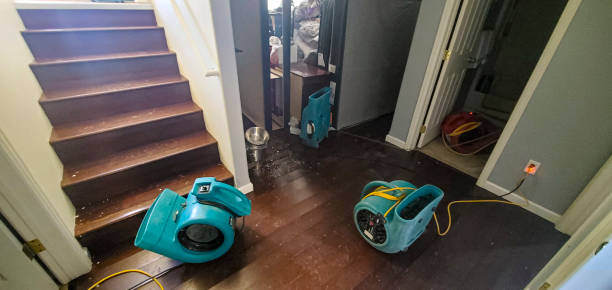 Best Sewage cleanup and water damage restoration  in Fort Lupton, CO