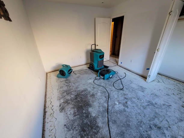 Best 24-hour water damage restoration  in Fort Lupton, CO