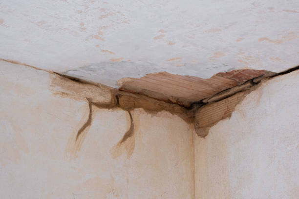 Professional Water damage restoration in Fort Lupton, CO