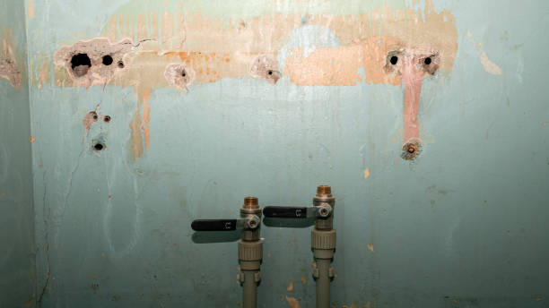Best Water damage restoration near me  in Fort Lupton, CO