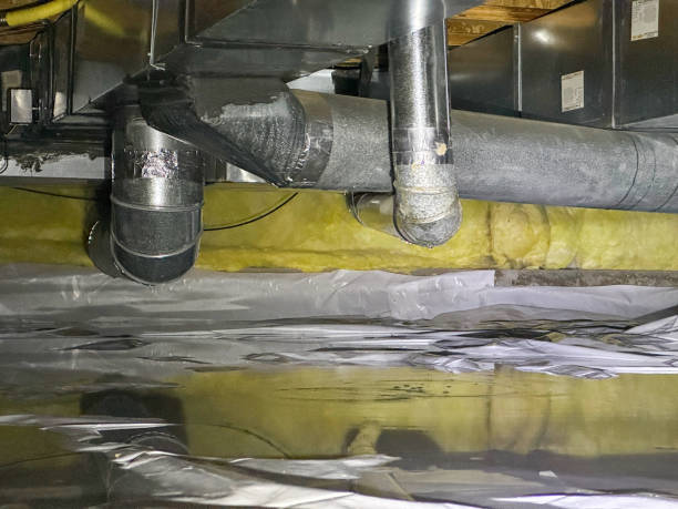 Best Sewage cleanup and water damage restoration  in Fort Lupton, CO