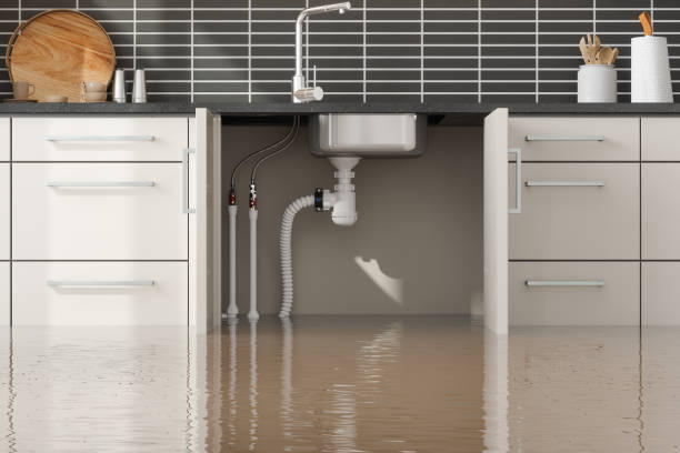 Local water damage restoration in Fort Lupton, CO