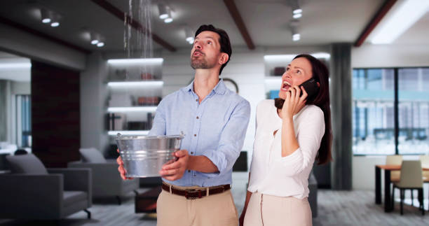 Best Water damage cleanup near me  in Fort Lupton, CO